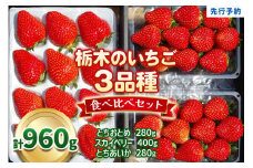 【1月以降発送】いちごの贅沢！栃木の3品種食べ比べセット 960g 澳原いちご農園  | いちご 苺 イチゴ フルーツ 果物 産地直送 栃木県産