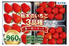 【3月以降発送】いちごの贅沢！栃木の3品種食べ比べセット 960g 澳原いちご農園  | いちご 苺 イチゴ フルーツ 果物 産地直送 栃木県産