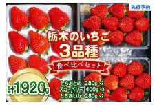 いちごの贅沢！栃木の3品種食べ比べセット 1,920g (960g×2) 《12月中旬～4月の期間で発送》 澳原いちご農園 | いちご 苺 イチゴ フルーツ 果物 産地直送 栃木県産