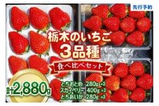 いちごの贅沢！栃木の3品種食べ比べセット 2,880g (960g×3)《12月中旬～4月の期間で発送》 澳原いちご農園  | いちご 苺 イチゴ フルーツ 果物 産地直送 栃木県産