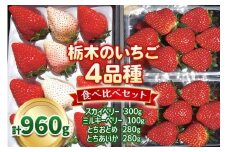 【1月以降発送】いちご4品種 食べ比べセット 960g （とちあいか・とちおとめ・ミルキーベリー・ スカイベリー） 澳原いちご農園 |  いちご 苺 イチゴ フルーツ 果物 産地直送