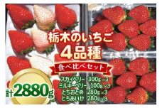 いちご4品種 食べ比べセット 2,880g （とちあいか・とちおとめ・ミルキーベリー・ スカイベリー） 《1月～4月の期間で発送》 澳原いちご農園 | いちご 苺 イチゴ フルーツ 果物 産地直送 栃木県産