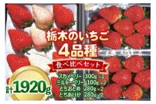 いちご4品種 食べ比べセット 1,920g （とちあいか・とちおとめ・ミルキーベリー・ スカイベリー） 《1月～4月の期間で発送》 澳原いちご農園 | いちご 苺 イチゴ フルーツ 果物 産地直送 栃木県産