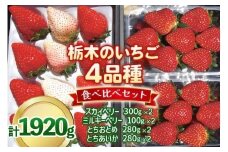 いちご4品種 食べ比べセット 1,920g （とちあいか・とちおとめ・ミルキーベリー・ スカイベリー） 《1月～4月の期間で発送》 澳原いちご農園 | いちご 苺 イチゴ フルーツ 果物 産地直送 栃木県産