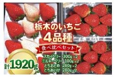 いちご4品種 食べ比べセット 1,920g （とちあいか・とちおとめ・ミルキーベリー・ スカイベリー） 《1月～4月の期間で発送》 澳原いちご農園 | いちご 苺 イチゴ フルーツ 果物 産地直送 栃木県産