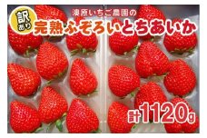訳あり粒不揃い とちあいか 1,120g (280g×4P) 《1月～4月の期間で発送》 澳原いちご農園  | いちご 苺 イチゴ フルーツ 果物 産地直送 栃木県産