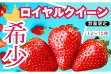 [1月以降発送] [期間限定] 栃木県産 いちご ロイヤルクイーン12～15粒 先行予約 選べる発送月｜栃木県産 矢板市産 フルーツ スイーツ デザート 果物 果実 産地直送 栃木県 矢板市