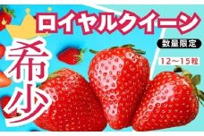 【定期便3回】栃木県産 いちご ロイヤルクイーン12～15粒 先行予約 3カ月定期便 (1月・2月・3月お届け）｜栃木県産 矢板市産 フルーツ スイーツ デザート 果物 果実 産地直送 栃木県 矢板市