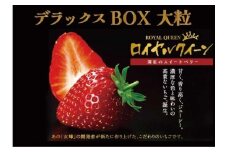 【定期便3回】栃木県産 いちご ロイヤルクイーン12～15粒 先行予約 3カ月定期便 (1月・2月・3月お届け）｜栃木県産 矢板市産 フルーツ スイーツ デザート 果物 果実 産地直送 栃木県 矢板市
