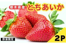 [3月以降発送] 栃木県産 いちご とちあいか 12～15粒 × 2パック｜いちご イチゴ 苺 フルーツ 果物 産地直送