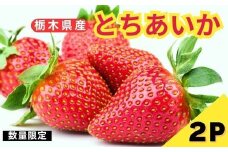 【定期便3回】栃木県産 いちご とちあいか 12～15粒 × 2P 先行予約 選べる発送月 定期便3回 (1月・2月・3月お届け）｜栃木県産 矢板市産 フルーツ スイーツ デザート 果物 果実 産地直送 栃木県 矢板市