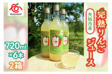 【定期便3回】 矢板市産 完熟りんごジュース《720ml×6本 2箱》｜林檎 リンゴ 果汁100% 産地直送 (毎月お届け）  