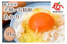 [平飼い有精卵30個] 濃厚な黄身が特徴 ワタナベファームのおてんば長女【平飼い有精卵あかり】