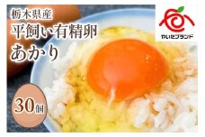 [平飼い有精卵30個] 濃厚な黄身が特徴 ワタナベファームのおてんば長女【平飼い有精卵あかり】
