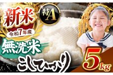 【栃木県共通返礼品】【令和7年度新米先行予約】栃木県産コシヒカリ 無洗米 5kg  | お米 米 こめ 洗米 新米 無洗米 コシヒカリ こしひかり 美味しい お弁当 選べる ふるさと 納税 栃木県 矢板市