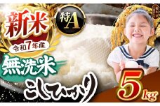 【栃木県共通返礼品】【令和7年度新米先行予約】栃木県産コシヒカリ 無洗米 5kg  | お米 米 こめ 洗米 新米 無洗米 コシヒカリ こしひかり 美味しい お弁当 選べる ふるさと 納税 栃木県 矢板市