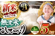 【栃木県共通返礼品】【令和7年度新米先行予約】栃木県産コシヒカリ 無洗米 5kg 定期便3回 | 定期便 お米 米 こめ 洗米 新米 無洗米 コシヒカリ こしひかり 美味しい お弁当 選べる ふるさと 納税 栃木県 矢板市