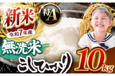 【栃木県共通返礼品】【令和7年度新米先行予約】栃木県産コシヒカリ 無洗米 10kg  | お米 米 こめ 洗米 新米 無洗米 コシヒカリ こしひかり 美味しい お弁当 選べる ふるさと 納税 栃木県 矢板市