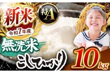 【栃木県共通返礼品】【令和7年度新米先行予約】栃木県産コシヒカリ 無洗米 10kg  | お米 米 こめ 洗米 新米 無洗米 コシヒカリ こしひかり 美味しい お弁当 選べる ふるさと 納税 栃木県 矢板市