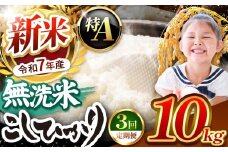 【栃木県共通返礼品】【令和7年度新米先行予約】栃木県産コシヒカリ 無洗米 10kg 定期便3回 | 定期便 お米 米 こめ 洗米 新米 無洗米 コシヒカリ こしひかり 美味しい お弁当 選べる ふるさと 納税 栃木県 矢板市