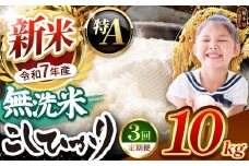 【令和7年度新米先行予約】栃木県産コシヒカリ 無洗米 10kg 定期便3回 【栃木県共通返礼品】| 定期便 お米 米 こめ 洗米 新米 無洗米 コシヒカリ こしひかり 美味しい お弁当 選べる ふるさと 納税 栃木県 矢板市