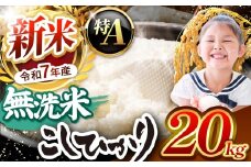【栃木県共通返礼品】【令和7年度新米先行予約】栃木県産コシヒカリ 無洗米 20kg  | お米 米 こめ 洗米 新米 無洗米 コシヒカリ こしひかり 美味しい お弁当 選べる ふるさと 納税 栃木県 矢板市