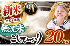 【栃木県共通返礼品】【令和7年度新米先行予約】栃木県産コシヒカリ 無洗米 20kg  | お米 米 こめ 洗米 新米 無洗米 コシヒカリ こしひかり 美味しい お弁当 選べる ふるさと 納税 栃木県 矢板市