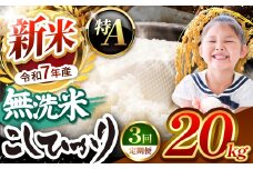 【栃木県共通返礼品】【令和7年度新米先行予約】栃木県産コシヒカリ 無洗米 20kg 定期便3回 | 定期便 お米 米 こめ 洗米 新米 無洗米 コシヒカリ こしひかり 美味しい お弁当 選べる ふるさと 納税 栃木県 矢板市