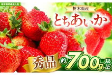 【チョイス限定企画】【先行予約】とちあいか 秀品 約700g 【栃木県共通返礼品】| いちご とちあいか 大粒 新鮮 甘い 朝採れ 香貴 数量 限定 美味しい 果物 共通返礼品 フルーツ デザート 栃木県 送料無料