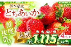 【チョイス限定企画】【先行予約】ぎっしりとちあいか 約1.2kg 【栃木県共通返礼品】| いちご とちあいか 大粒 新鮮 甘い 数量 限定 美味しい 果物 共通返礼品 フルーツ デザート 栃木県 送料無料