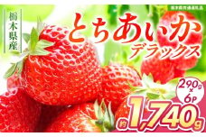 【チョイス限定企画】【先行予約】とちあいかデラックス 約1740g (290g×6) 【栃木県共通返礼品】| いちご とちあいか 大粒 新鮮 甘い 数量 限定 美味しい スイーツ ジューシー 果物 共通返礼品 フルーツ デザート 栃木県 送料無料