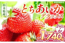 【チョイス限定企画】【先行予約】とちあいかデラックス 約1740g (290g×6) 【栃木県共通返礼品】| いちご とちあいか 大粒 新鮮 甘い 数量 限定 美味しい スイーツ ジューシー 果物 共通返礼品 フルーツ デザート 栃木県 送料無料