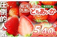 【チョイス限定企画】【先行予約】「とちあいか」訳あり大きさ形不揃い 約540g以上 【栃木県共通返礼品】| いちご とちあいか 香貴 朝採れ 大粒 新鮮 甘い  数量 限定 美味しい 果物 共通返礼品 フルーツ デザート 栃木県 送料無料