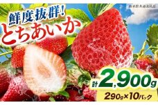 [期間限定] 鮮度抜群とちあいか 290g×10P 先行予約【栃木県共通返礼品】｜栃木県産 矢板市産 フルーツ スイーツ デザート 果物 果実 産地直送 栃木県 矢板市