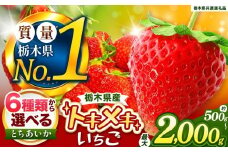 【定期便2回】とちあいか 3L以上ホール詰め | いちご とちあいか 大粒 新鮮 甘い 数量 限定 美味しい 果物 共通返礼品 フルーツ デザート 栃木県 送料無料