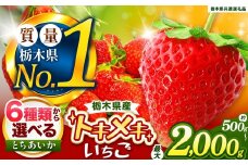 【定期便3回】とちあいか 3L以上ホール詰め | いちご とちあいか 大粒 新鮮 甘い 数量 限定 美味しい 果物 共通返礼品 フルーツ デザート 栃木県 送料無料