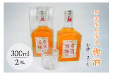 那須塩原温泉梅酒(お猪口2ヶ付)【 お酒 栃木県 那須塩原市 】 ns049-010