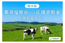 栃木県那須塩原市への寄付（返礼品はありません）【 栃木県 那須塩原市 】 ns056-002