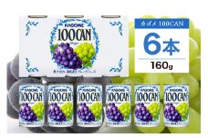 カゴメ 100CAN 160g × 6缶 濃縮還元 グレープジュース 100％ ジュース 砂糖不使用 フルーツジュース かごめ 果汁 果肉 グレープ ぶどう 葡萄 ブドウ フルーツ 飲料 ドリンク 缶 果物 お取り寄せ ギフト 差し入れ 缶ジュース KAGOME 送料無料 那須塩原市 ns038-009