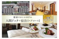 日帰り人間ドック+那須マロニエホテル宿泊+特別ディナー付ペアコース 【 ヘルスケア 体験 栃木県 那須塩原市 】 ns027-004