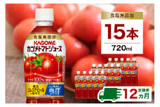 【定期便12ヵ月】カゴメ　トマトジュース食塩無添加　720ml PET×15本カゴメ　トマトジュース食塩無添加　720ml PET×15本 1ケース 毎月届く 12ヵ月 12回コース【 栃木県 那須塩原市 】 ns001-007