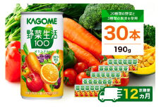 【定期便12ヵ月】カゴメ　野菜生活100　オリジナル　190g缶×30本 1ケース 毎月届く 12ヵ月 12回コース【 栃木県 那須塩原市 】 ns001-016