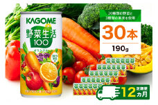 【定期便12ヵ月】カゴメ　野菜生活100　オリジナル　190g缶×30本 1ケース 毎月届く 12ヵ月 12回コース【 栃木県 那須塩原市 】 ns001-016