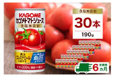 【定期便6ヵ月】カゴメ　トマトジュース　食塩無添加　190g缶×30本 1ケース 毎月届く 6ヵ月 6回コース【 栃木県 那須塩原市 】 ns001-018