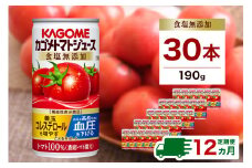 【定期便12ヵ月】カゴメ　トマトジュース　食塩無添加　190g缶×30本 1ケース 毎月届く 12ヵ月 12回コース【 栃木県 那須塩原市 】 ns001-019