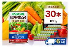 【定期便6ヵ月】カゴメ　野菜ジュース　食塩無添加　160g缶×30本 1ケース 毎月届く 6ヵ月 6回コース【 栃木県 那須塩原市 】 ns001-021