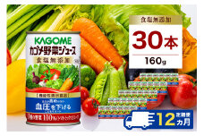 【定期便12ヵ月】カゴメ　野菜ジュース　食塩無添加　160g缶×30本 1ケース 毎月届く 12ヵ月 12回コース【 栃木県 那須塩原市 】 ns001-022
