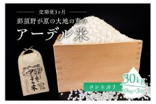 【令和6年産米】『定期便3ヶ月』那須野が原の大地の恵み アーデル米（コシヒカリ1袋10kg）＜出荷開始：2024年10月下旬～＞ ns061-002