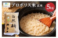 【那須塩原ブランド認定品】プロポリス米(1等級コシヒカリ 玄米5kg) 【令和6年度産米】ns063-001 【お米 プロポリス 米 食品 真空パック 国産 コシヒカリ】