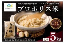 【那須塩原ブランド認定品】プロポリス米(1等級コシヒカリ 玄米5kg) 【令和6年度産米】ns063-001 【お米 プロポリス 米 食品 真空パック 国産 コシヒカリ】